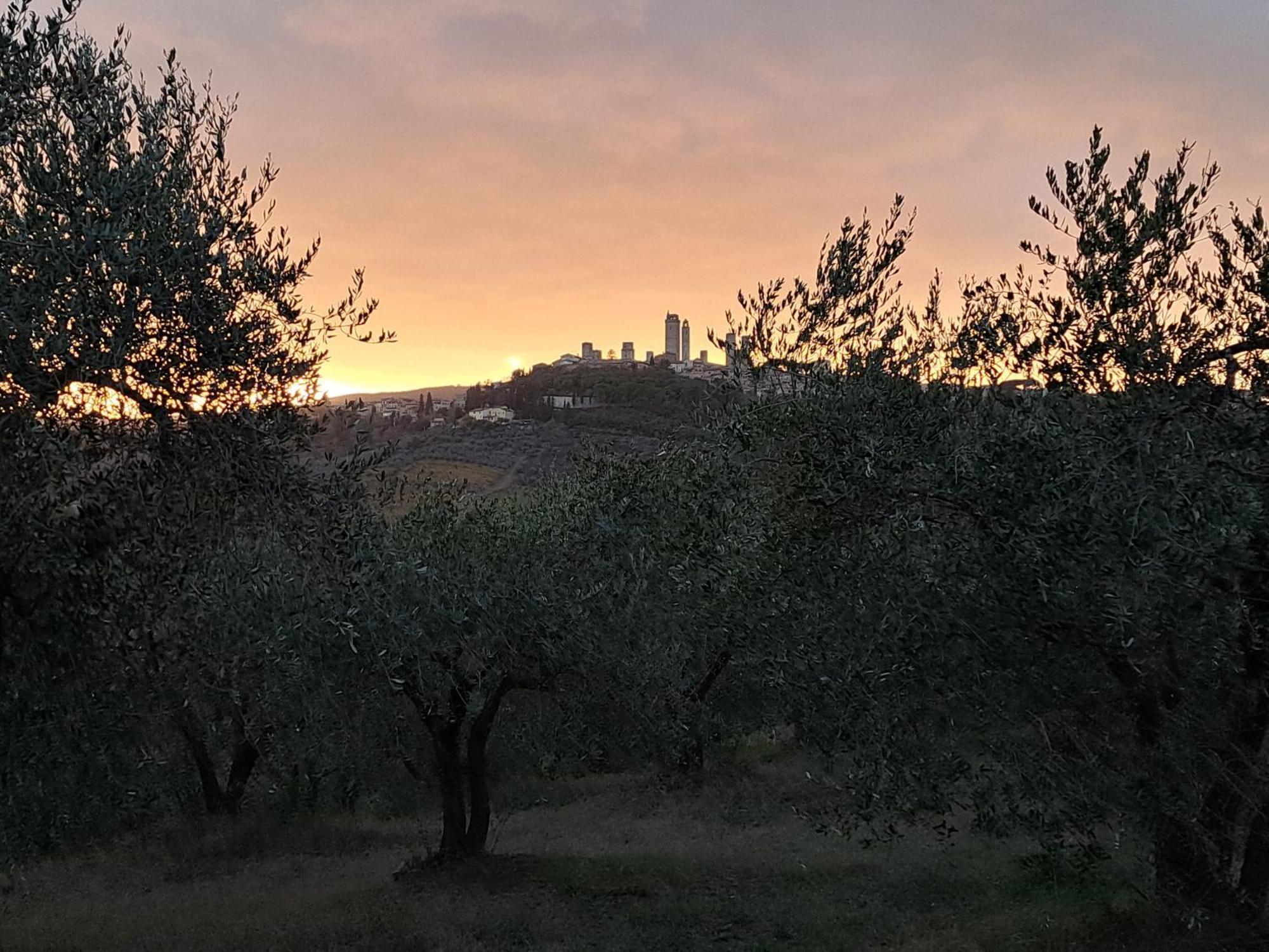 הוילה פוג'יבונסי Casa Orneto מראה חיצוני תמונה