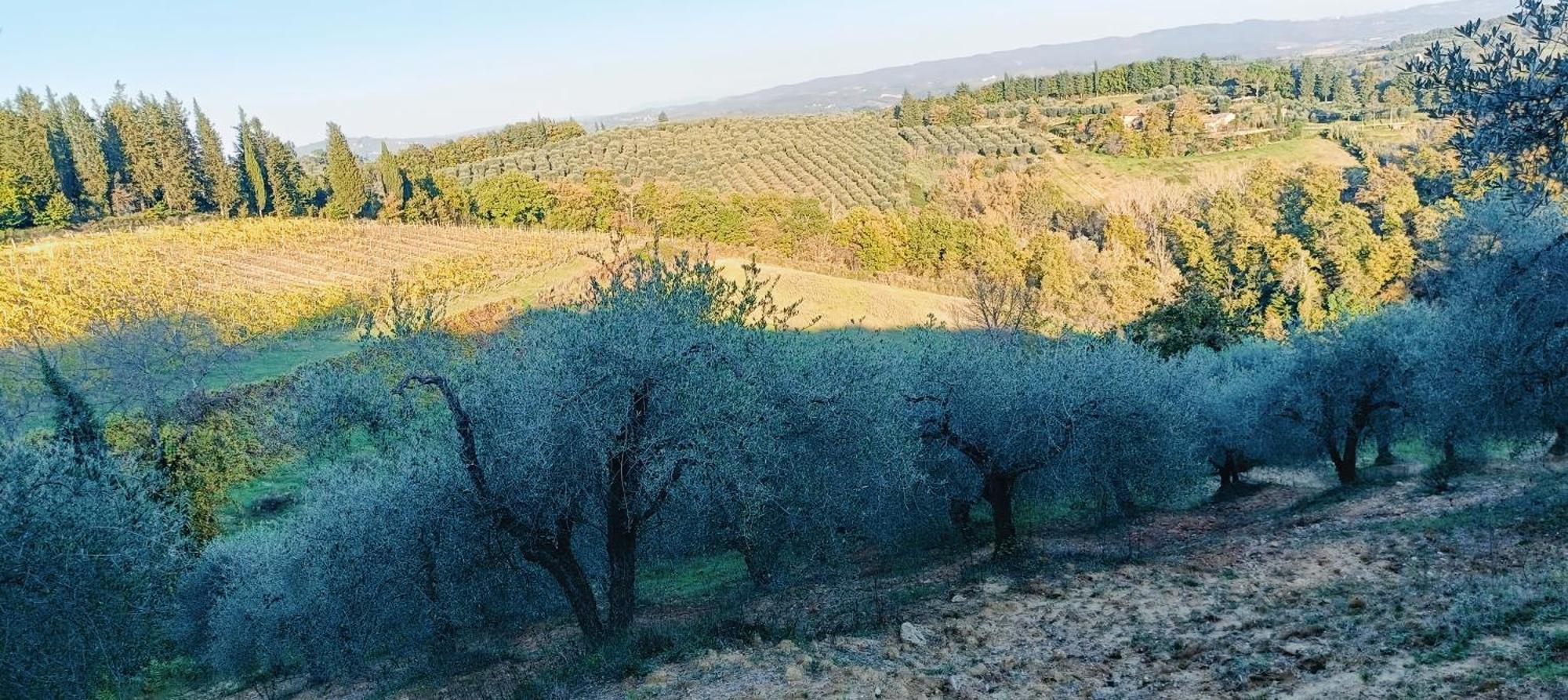 הוילה פוג'יבונסי Casa Orneto מראה חיצוני תמונה